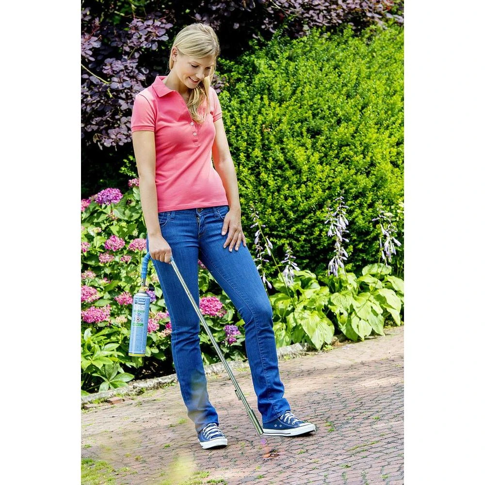 Gloria Thermo Flamm Bio Classic Onkruidbrander 3 Gloria Thermo Flamm Bio Classic Onkruidbrander - Afbeelding 3