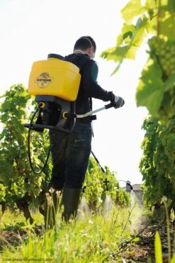 Berthoud Vermorel 2000 PRO Comfort Rugspuit 16 Liter 5 Berthoud Vermorel 2000 PRO Comfort Rugspuit 16 Liter -Tuinonderhoud 3176241020224 2