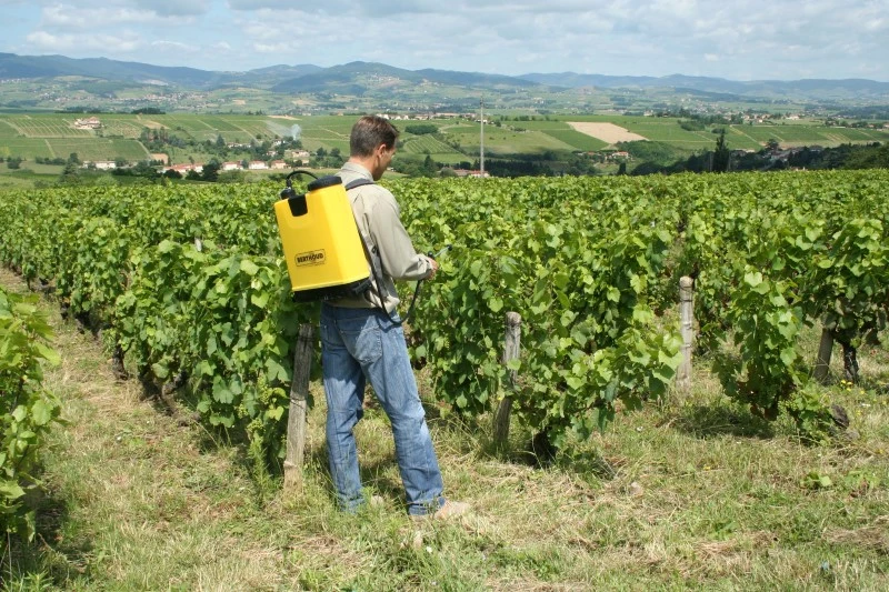 Berthoud Cosmos 18 Pro Rugspuit 18 Liter 2 Berthoud Cosmos 18 Pro Rugspuit 18 Liter - Afbeelding 2