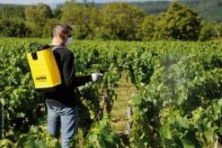 Berthoud Cosmos 18 Pro Rugspuit 18 Liter 7 Berthoud Cosmos 18 Pro Rugspuit 18 Liter -Tuinonderhoud 3176241022150 4