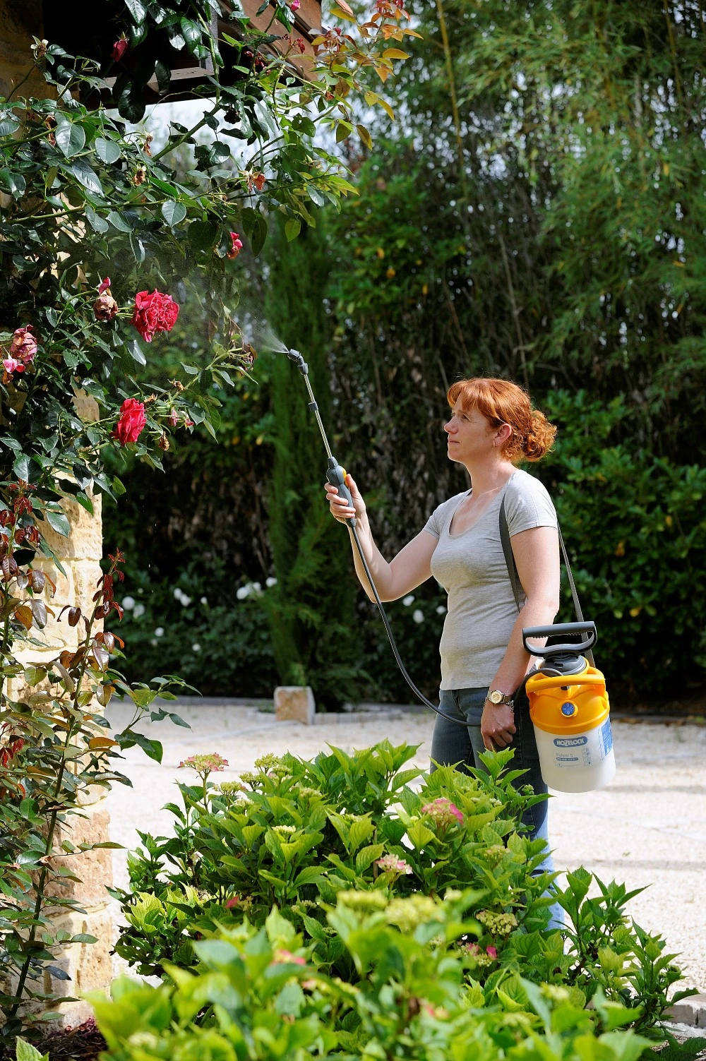 Hozelock Drukspuit Pulsar Plus 5 Liter 2 Hozelock Drukspuit Pulsar Plus 5 Liter - Afbeelding 2