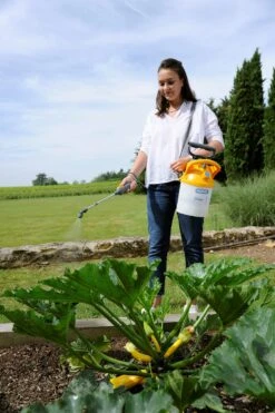 Hozelock Drukspuit Pulsar Plus 5 Liter 13 Hozelock Drukspuit Pulsar Plus 5 Liter -Tuinonderhoud 5010646062671 6