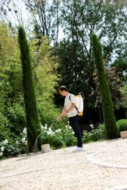 Hozelock Rugspuit Pulsar Plus Comfort 12 Liter 11 Hozelock Rugspuit Pulsar Plus Comfort 12 Liter -Tuinonderhoud 5010646062749 3