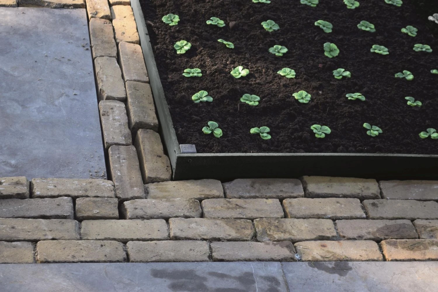 Nature Borderrand Zwart 7mm H14cmx15m 4 Nature Borderrand Zwart 7mm H14cmx15m - Afbeelding 4