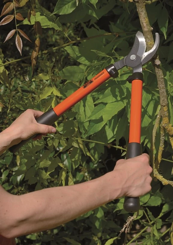 Bahco Takkenschaar P140 2 Bahco Takkenschaar P140 - Afbeelding 2