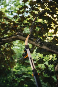 Fiskars Adapterzaag Voor Snoeigiraffen UPX86, UPX82 7 Fiskars Adapterzaag Voor Snoeigiraffen UPX86, UPX82 -Tuinonderhoud Fiskars Garden Action PowerGearX Tree pruner Branch saw 1023633