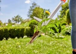 Gardena Onkruidsteker Lang 18 Gardena Onkruidsteker Lang -Tuinonderhoud Gardena onkruisteker lang 9