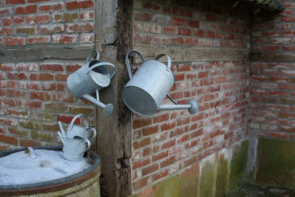 Esschert Gieter Oud Zink M 12 Esschert Gieter Oud Zink M - Afbeelding 12