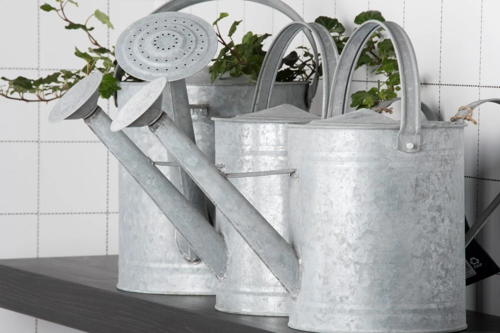 Esschert Gieter Oud Zink M 5 Esschert Gieter Oud Zink M - Afbeelding 5