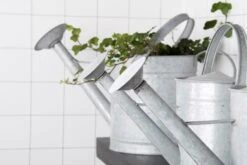 Esschert Gieter Oud Zink M 18 Esschert Gieter Oud Zink M -Tuinonderhoud OZ44 49