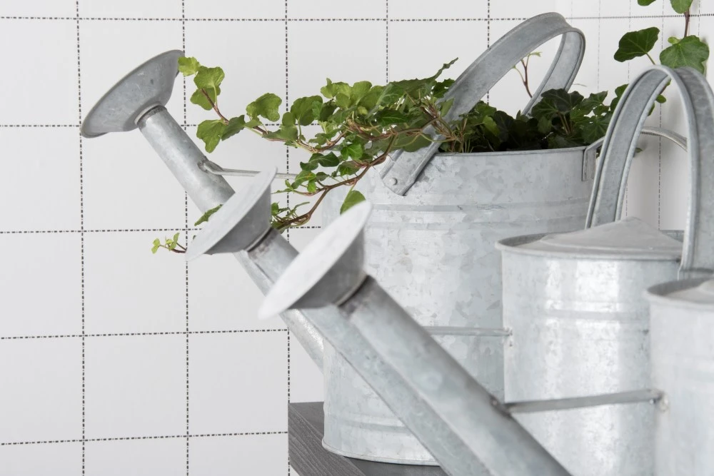 Esschert Gieter Oud Zink M 2 Esschert Gieter Oud Zink M - Afbeelding 2