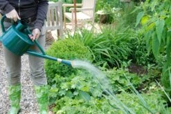 Esschert Gieter Klassiek Groen 5L -Tuinonderhoud TG171 40