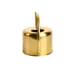 Esschert Kamerplanten Gieter Goud 1 L 15 Esschert Kamerplanten Gieter Goud 1 L -Tuinonderhoud TG237 04