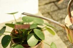 Esschert Kamerplanten Gieter Goud 1 L 18 Esschert Kamerplanten Gieter Goud 1 L -Tuinonderhoud TG237 40