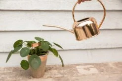 Esschert Kamerplanten Gieter Goud 1 L 23 Esschert Kamerplanten Gieter Goud 1 L -Tuinonderhoud TG237 41