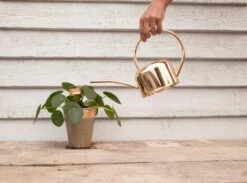 Esschert Kamerplanten Gieter Goud 1 L 17 Esschert Kamerplanten Gieter Goud 1 L -Tuinonderhoud TG237 42