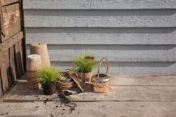 Esschert Kamerplanten Gieter Goud 1 L 21 Esschert Kamerplanten Gieter Goud 1 L -Tuinonderhoud TG237 45