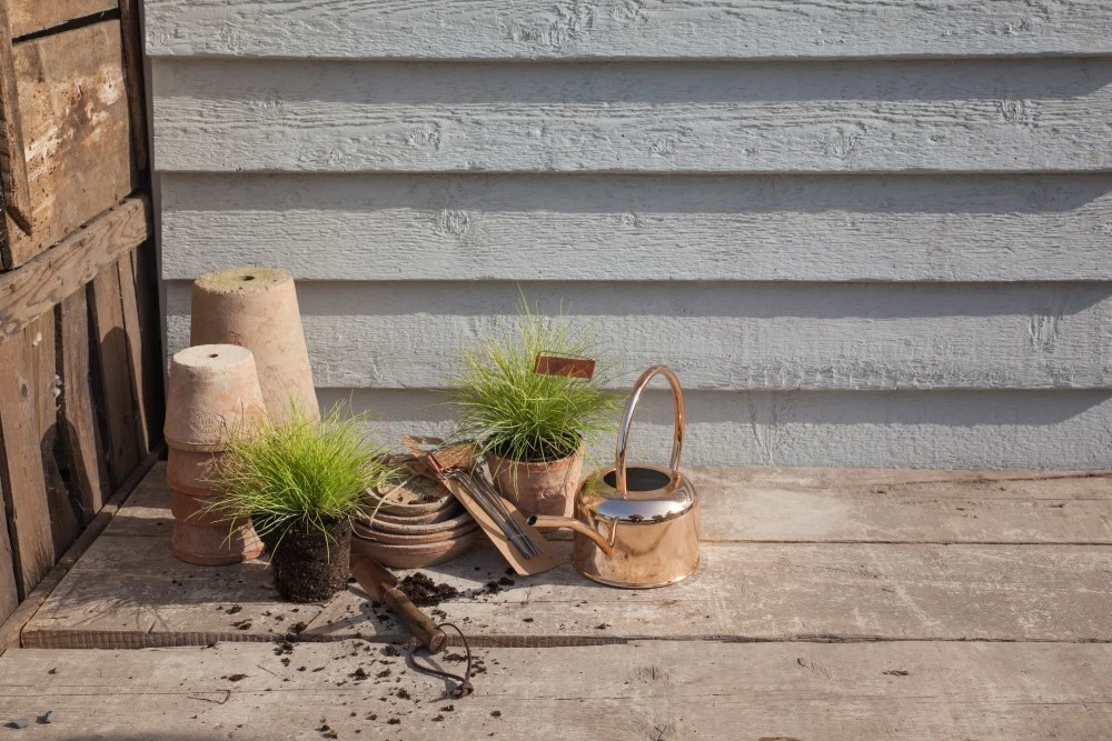Esschert Kamerplanten Gieter Goud 1 L 10 Esschert Kamerplanten Gieter Goud 1 L - Afbeelding 10