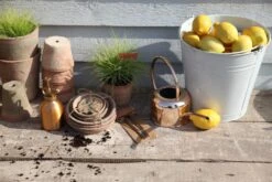 Esschert Kamerplanten Gieter Goud 1 L 20 Esschert Kamerplanten Gieter Goud 1 L -Tuinonderhoud TG237 46