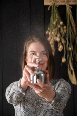 Esschert Plantensproeier Metaal Zilver -Tuinonderhoud TG270 40