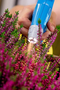 Gloria AutoPump Mini - 1 Liter Fijnsproeier NBR + LED Verlichting 11 Gloria AutoPump Mini - 1 Liter Fijnsproeier NBR + LED Verlichting -Tuinonderhoud csm AutoPump Mini Detail 1 5f2afd1455